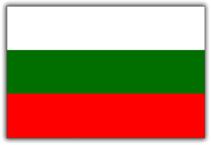 Снимка на БЪЛГАРСКО ЗНАМЕ 20/26 СМ.